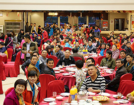 寵物衣服生產廠家|東莞市琪美實業有限公司